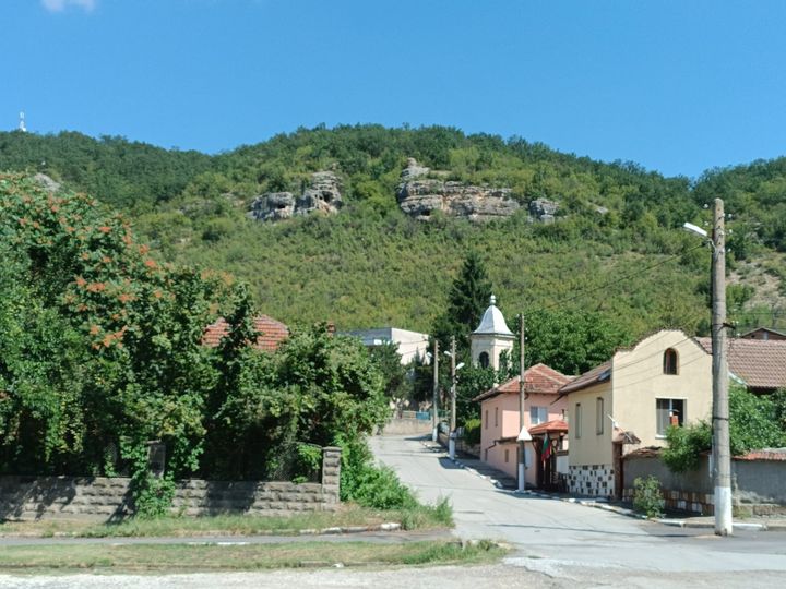 Сваленик