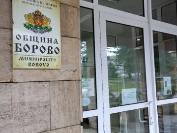 община Борово