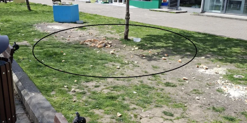 Вандали и местни жители умишлено нанасят щети на общинско имущество в центъра на Гюргево