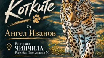 На 11 октомври ще се състои откриването на изложба „Котките“ на Ангел Иванов