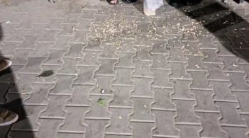 В Гюргево санкционират замърсяването на площите за обществено ползване при яденето на семки и пиенето на алкохол на открито