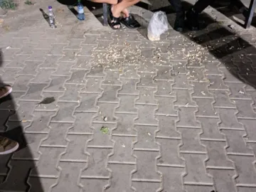 В Гюргево санкционират замърсяването на площите за обществено ползване при яденето на семки и пиенето на алкохол на открито