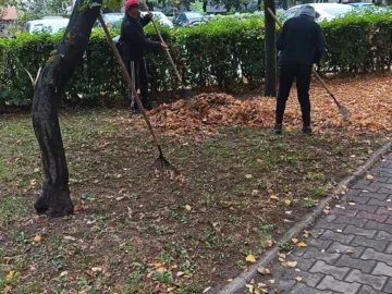 Продължава работата по поддържане на зелените площи в Гюргево