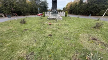 Община Гюргево облагороди входовете на града, но лоши граждани откраднаха цветята