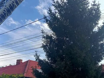 свалиха